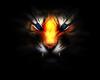 Foto de Et producciones y dj tigre